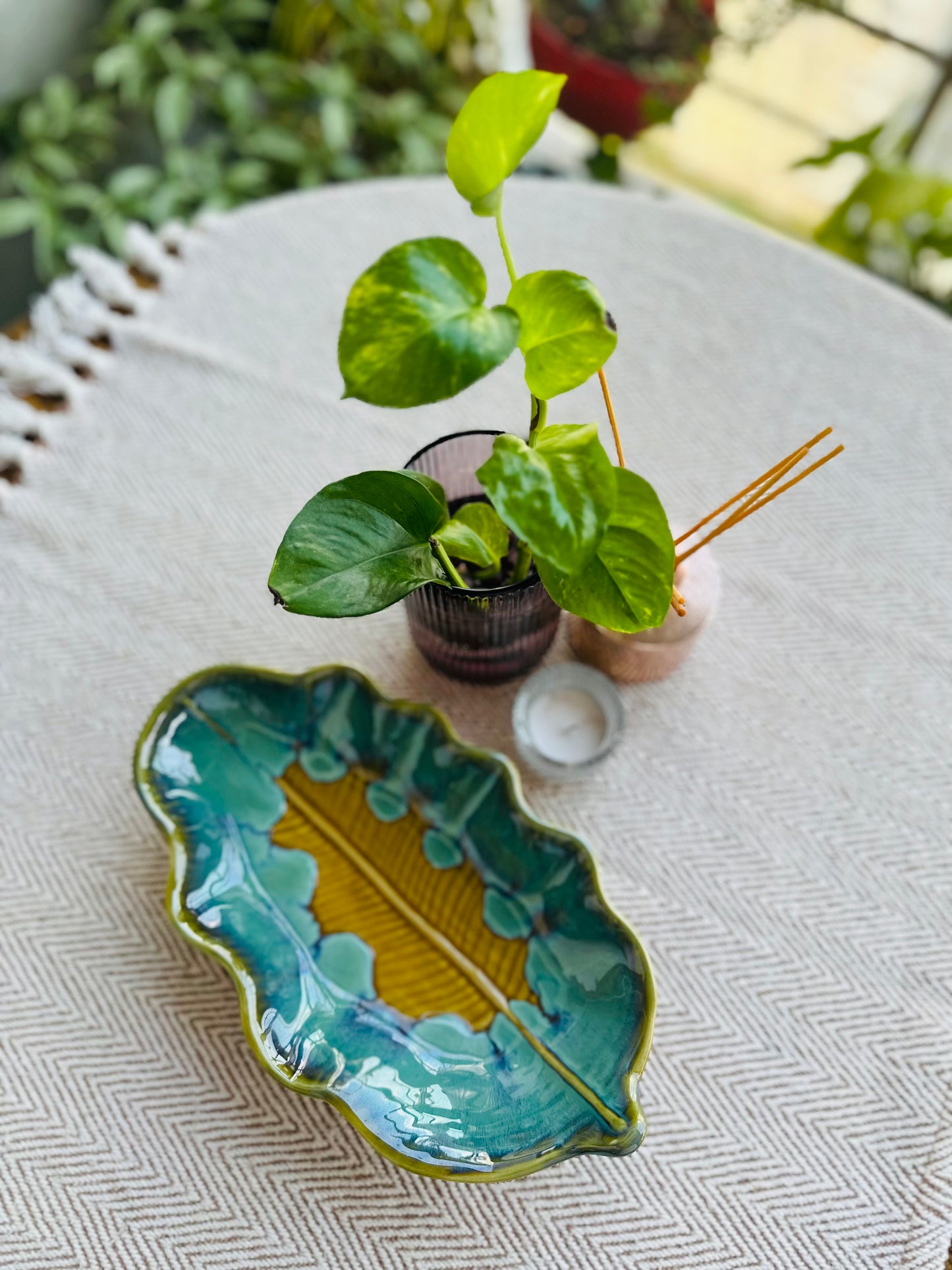 Rakhi Edit : Leaf Junior Platter