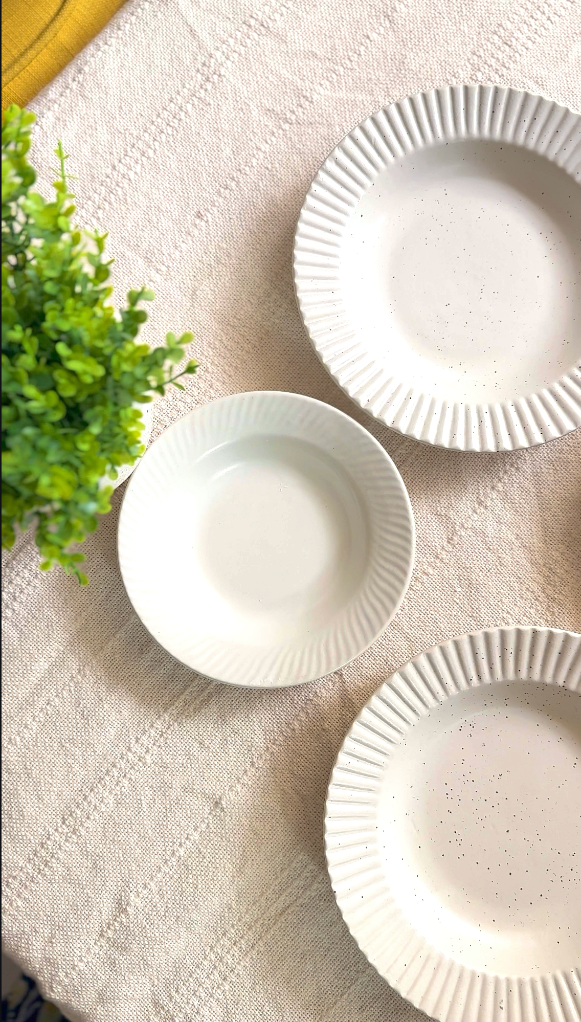 The Elengate Junior & Senior Pasta Plates (Set of 4)