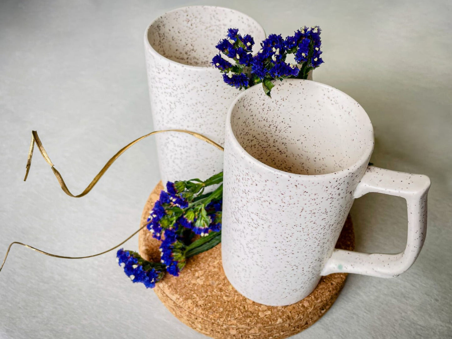 Corona Beer Mugs