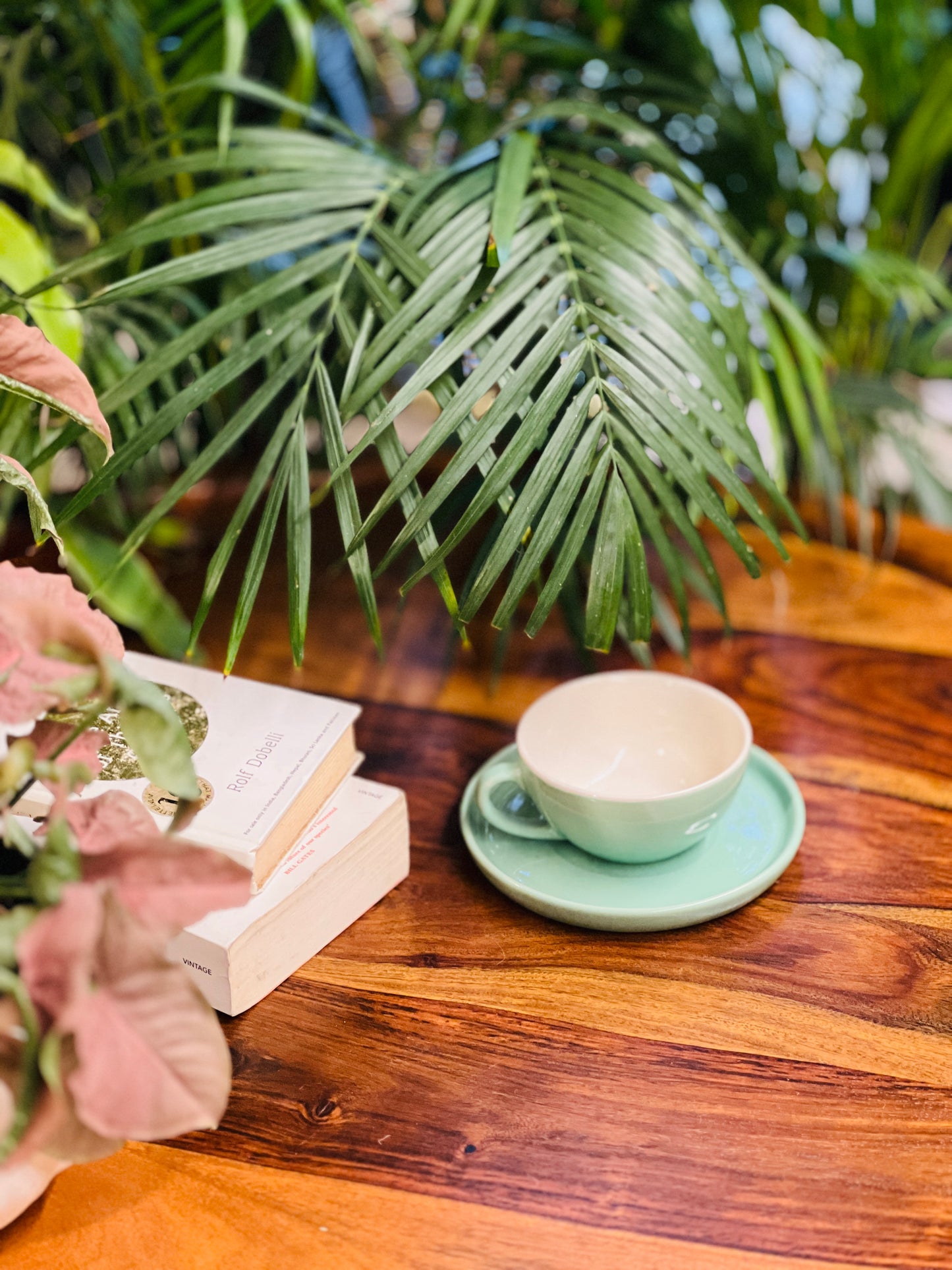 Verdant Sip Cappucino Cup & Saucer Set (240ml)