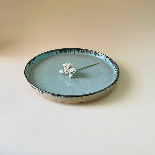 The Flat Plate